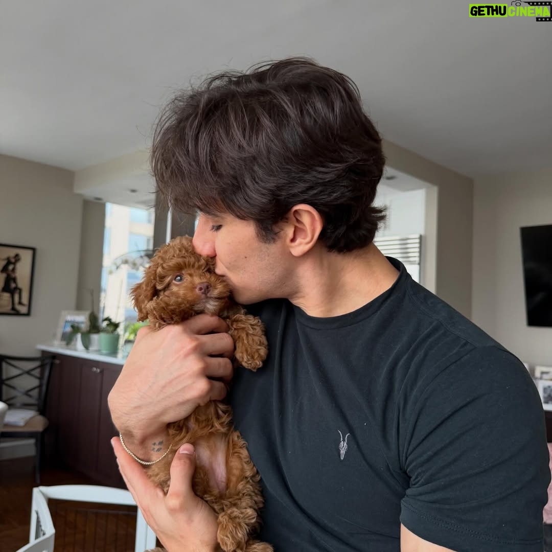 Tiler Peck - 22K Likes - Happy birthday to my best friend who also happens to be my hubby! 🎂

I love traveling the world with you and dancing through life  together. You have the biggest heart and are such a kind, thoughtful and generous man. You were a wonderful daddy to Cali and now Nyla. 

I can’t wait for many more years together! Hoping you get everything you want this year. I love you beyond ❤️

#happybirthday #hubby #photos #memories #love #photodump #carousel #iloveyou