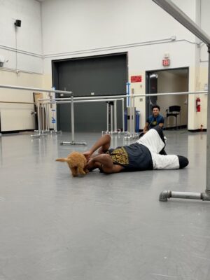 Tiler Peck Instagram - Officially kicked off the Nutcracker season last night with my first performance of Dewdrop!
It was so amazing getting to see new and familiar faces in the audience last night ❤️ Thank you to everyone who came out to support us!
Now let’s get the Christmas season started! And yes Nyla is obviously loving all this new attention 🐶
#ballet #ballerina #dance #dancer #nutcracker #dewdrop #performance #thingstodoinnyc #photos #carousel