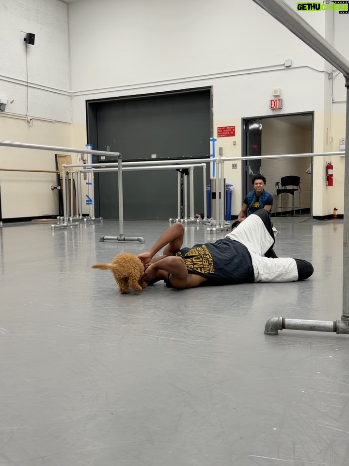Tiler Peck - 13K Likes - Officially kicked off the Nutcracker season last night with my first performance of Dewdrop! 

It was so amazing getting to see new and familiar faces in the audience last night ❤️ Thank you to everyone who came out to support us!

Now let’s get the Christmas season started! And yes Nyla is obviously loving all this new attention 🐶 

#ballet #ballerina #dance #dancer #nutcracker #dewdrop #performance #thingstodoinnyc #photos #carousel