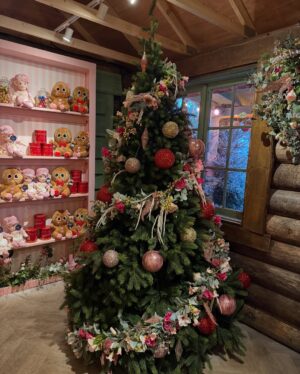 Tiziri Digne Instagram - Where magic feels real and hearts feel full @laplanduk ✨

Même si Isaïa n’était pas très rassuré (cf vidéo 11) c’est un lieu magique où les enfants s’émerveillent à chaque instant. Les décors, les mises en scènes, les costumes… tout est si féerique que même les adultes se remettent à rêver 🎅🏼 

#christmas #noël #family