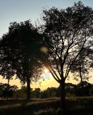 Vanessa Demouy Instagram - merci juillet pour ces beaux souvenirs…des rires, des couchers de soleil, des célébrations précieuses, des amis, des manèges colorés, des échanges profonds qui font du bien au cœur, encore des rires, des bougies, des gâteaux, la famille, des visites surprises, de la couleur, des champs de fleurs, la vie … #juillet #photo #souvenir #happiness