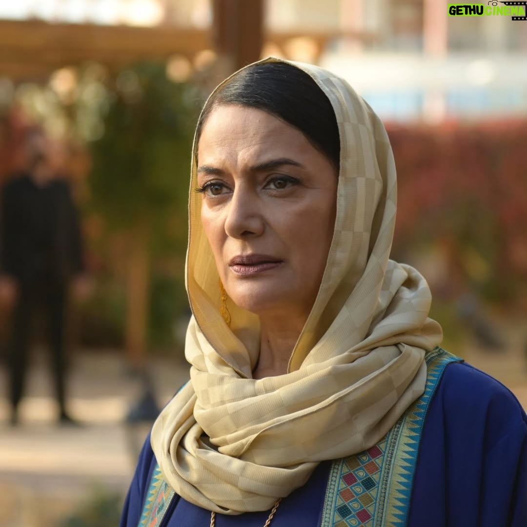 Veda Yurtsever - 22.2K Likes - Bu akşam saat 20:00' de buluşalım ahali @nowtvturkiye 'de , vakit #halefköklerinçağrısı günüdür, buyrun @halefdizi ( İzlemeyenlere gelsin son video🤪)