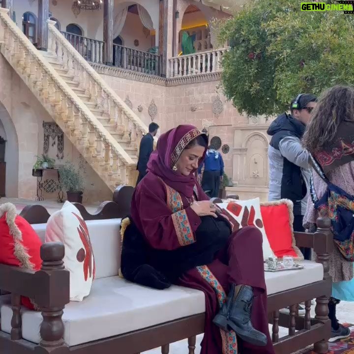 Veda Yurtsever - 22.2K Likes - Bu akşam saat 20:00' de buluşalım ahali @nowtvturkiye 'de , vakit #halefköklerinçağrısı günüdür, buyrun @halefdizi ( İzlemeyenlere gelsin son video🤪)