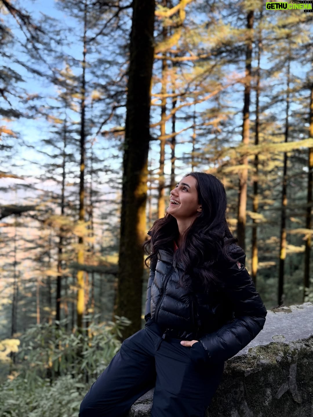 Vedika Pinto - 55.2K Likes - Pahadi Dump 🏔️