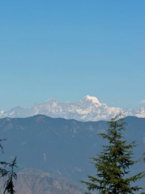 Vedika Pinto Instagram - Pahadi Dump 🏔️