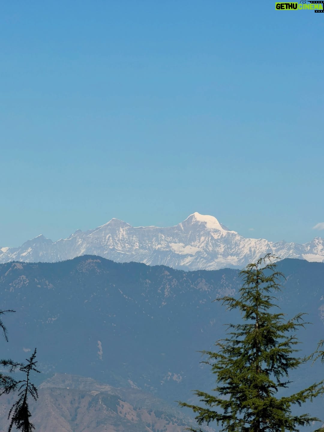 Vedika Pinto - 55.2K Likes - Pahadi Dump 🏔️