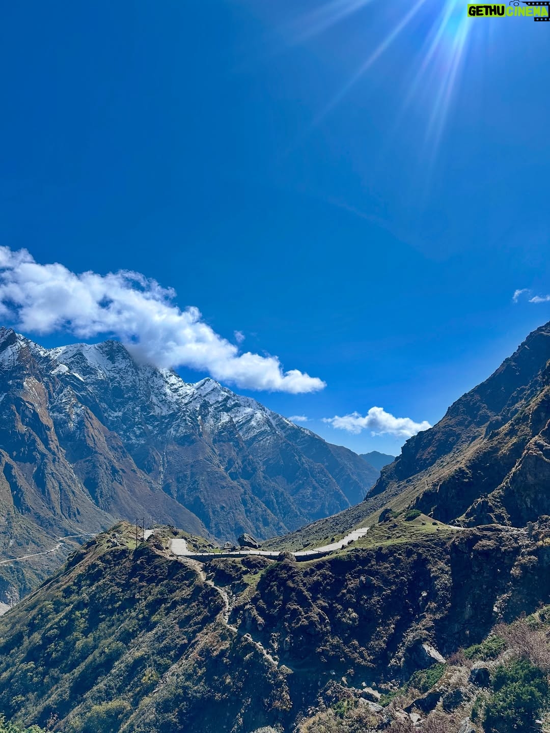 Vedika Pinto - 34.4K Likes - Ended the year that was, in magical Kedarnath with my chaddi friend. So much to be grateful for and so much to look forward to. #happyalmostbdaytome