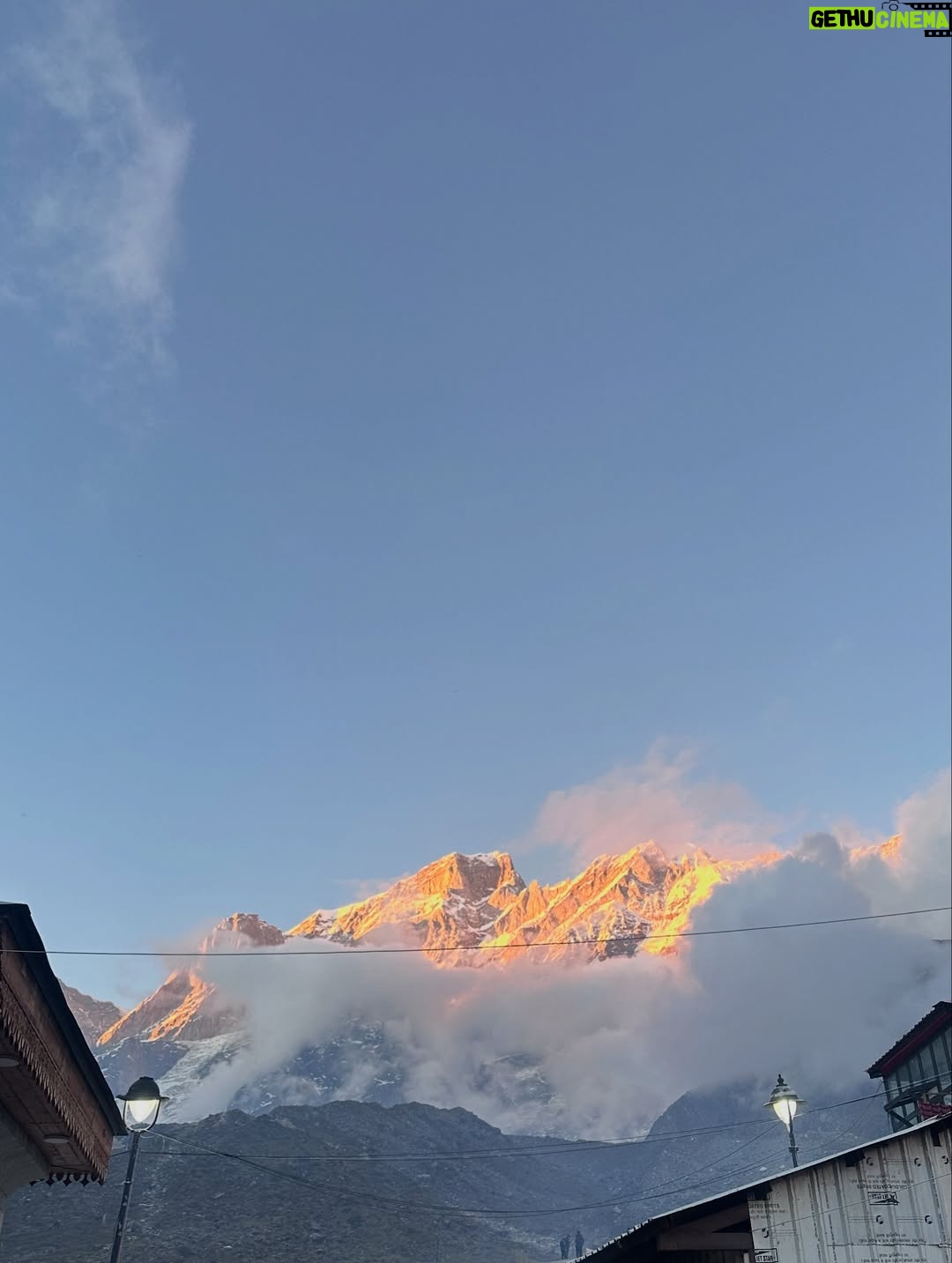 Vedika Pinto - 34.4K Likes - Ended the year that was, in magical Kedarnath with my chaddi friend. So much to be grateful for and so much to look forward to. #happyalmostbdaytome