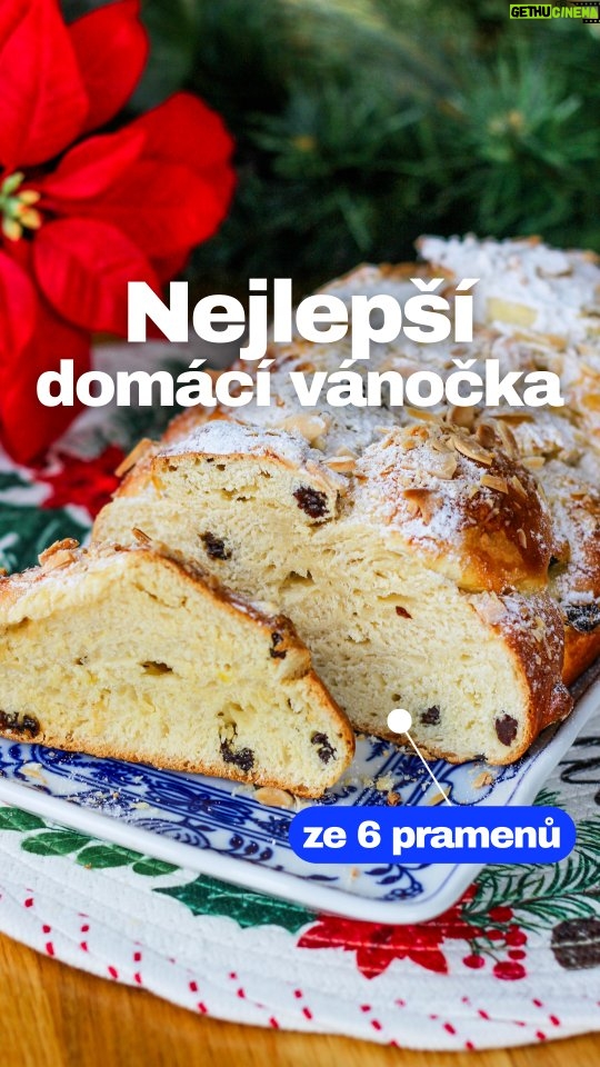 Viktorie Hrazdílková - 3.3K Likes - Kdo upeče podle mě? ❤️🥰 

VÁNOČKA ZE 6 PRAMENŮ 👨‍🍳👩‍🍳 

🥨 500g hl. mouky
🥨 100g cukru
🥨 230g mléka
🥨 2 vejce
🥨 sáček sušeného droždí
🥨 citronová kůra
🥨 5g soli
🥨 100g másla
🥨 rozinky namočené v rumu
🥨 mandle
🥨 vejce na potření 

Postup: Smíchej nejdříve teplé mléko (cca 30°C), vejce, cukr, sušené droždí a citronovou kůru. Poté tuto směs přidej k mouce smíchané s lžičkou soli. Nechej zpracovávat těsto nejlépe v robotu a po cca 10 minutách do těsta přidej povolené máslo. Zpracovávej dalších 10 min. Nakonec do těsta přidej rozinky namočené v rumu a krátce zapracuj. Zpracované těsto přikryj a nechej kynout na teplém místě 1h. Vykynuté těsto rozděl na 6 stejných částí. Z každé části udělej placičku, splácni a zamotej jakoby do rohlíku. Poté "ušůlej" pramen. Následně postupuj dle videa. Upletenou vánočku lehce postříkej vodou (kynuté těsto nikdy nesmí oschnout!) a nechej ještě cca 30 min kynout. Následně potři vajíčkem, posypej mandlemi a dej péct do předem vyhřáté trouby na 200°C a jakmile vložíš vánočku, stáhni teplotu na 160°C a peč 30 min (bez otvírání). Po upečení pocukruj a vychutnávej tu nejnadýchanější vánočku, jakou jsi kdy jedl👩‍🍳👨‍🍳❤️. 

Hledáš multifunkční kuchyňský robot? Díky mé spolupráci můžeš využít 30% slevu s kódem: VIKI30 na můj kuchyňský robot Gordon od značky @sencor.cz na eshopu Planeo.cz 👩‍🍳🧑‍🍳 

Baví tě mé recepty?👩‍🍳 Podpoř mou tvorbu ❤, sdílením a milým komentem 🥰. 

Nutriční hodnoty 1ks =1/12 vánočky:
B: 7,9g
S: 42g
T: 9,5g
285 kcal
