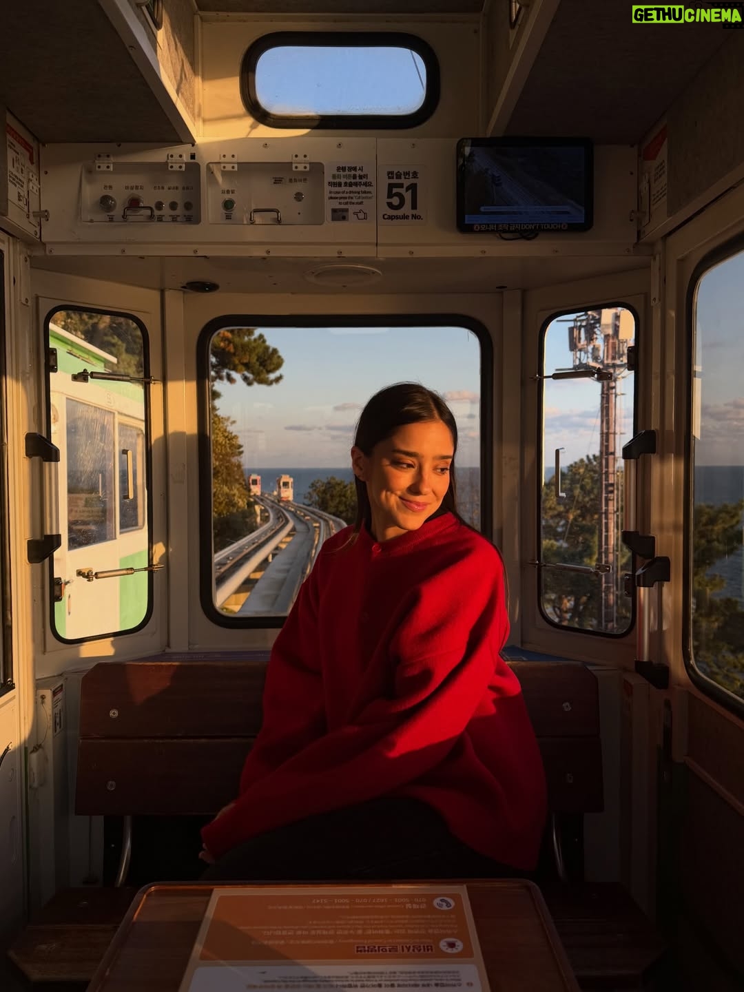 Viviana Serna - 21.6K Likes - Las 5 de la tarde en una cápsula del cielo en Corea.