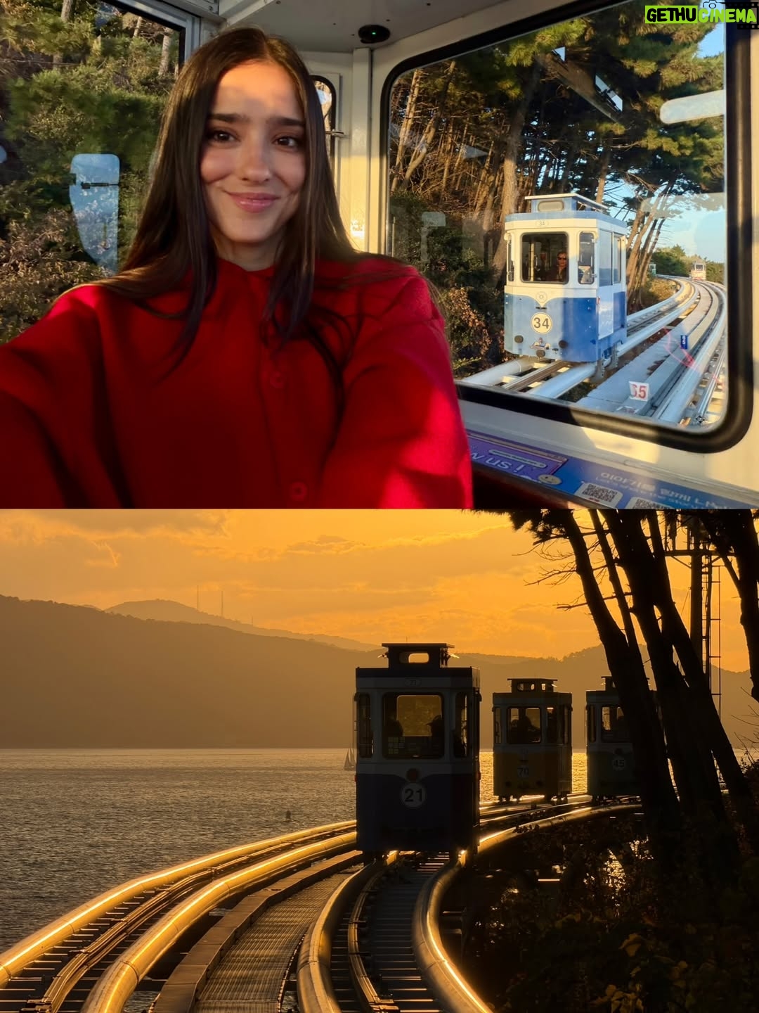 Viviana Serna - 21.6K Likes - Las 5 de la tarde en una cápsula del cielo en Corea.