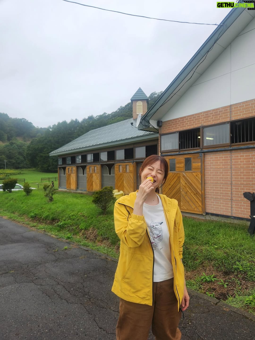 Wakana Matsumoto - 170K Likes - .

.

.

みなさんおこんにちは

松本です

すっかり秋めいて朝晩は寒い日々が続いていますがみなさま
いかがお過ごしでしょうか

.

北海道での撮影のオフショットを

馬さんはやっぱりかわいいです

松本は撮影でお邪魔した牧場の方が湯がいてくださった
とうもろこし🌽

子供のころ"とうもろこし"が言えなくて
【とうこもろし】と言ってたと未だ親に言われます
還暦迎える頃にも言われてるんでしょうか🙄

.

ザ・ロイヤルファミリー
とてもご好評をいただいております
🏇🏇　　🏇　🏇🏇
引き続きよろしくお願いいたします！