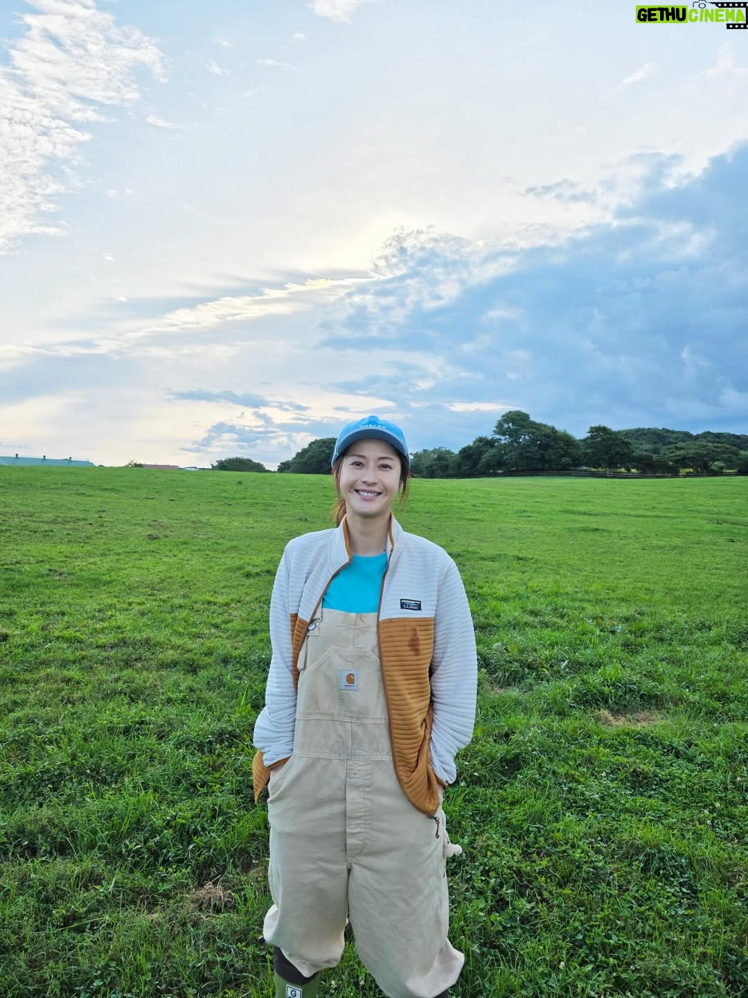 Wakana Matsumoto - 201.2K Likes - .

ついに終わってしまいました…。
ただいま抜け殻となっています

本当にさみしいなぁ

お馬さん可愛かったなぁ

想いが熱かったなぁ

たくさんの学びがあったなぁ

全部が楽しかったなぁ

ずっと夢だった日曜劇場。
妻夫木さんをはじめ、キャスト、スタッフ全員の熱量があれば、限界と感じることも通過点と思える力強い現場でした。
みなさまに心からの感謝と尊敬の気持ちを込めて。
初めての日劇が「ザ・ロイヤルファミリー」で本当に幸せでした。

この作品はこれからもずっと愛され続けていくんだなと、最終回をみて改めて思いました。

最後までご視聴いただいたみなさん、本当にありがとうございました！

🏇　　🏇 🏇 🏇🏇　🏇✨✨
