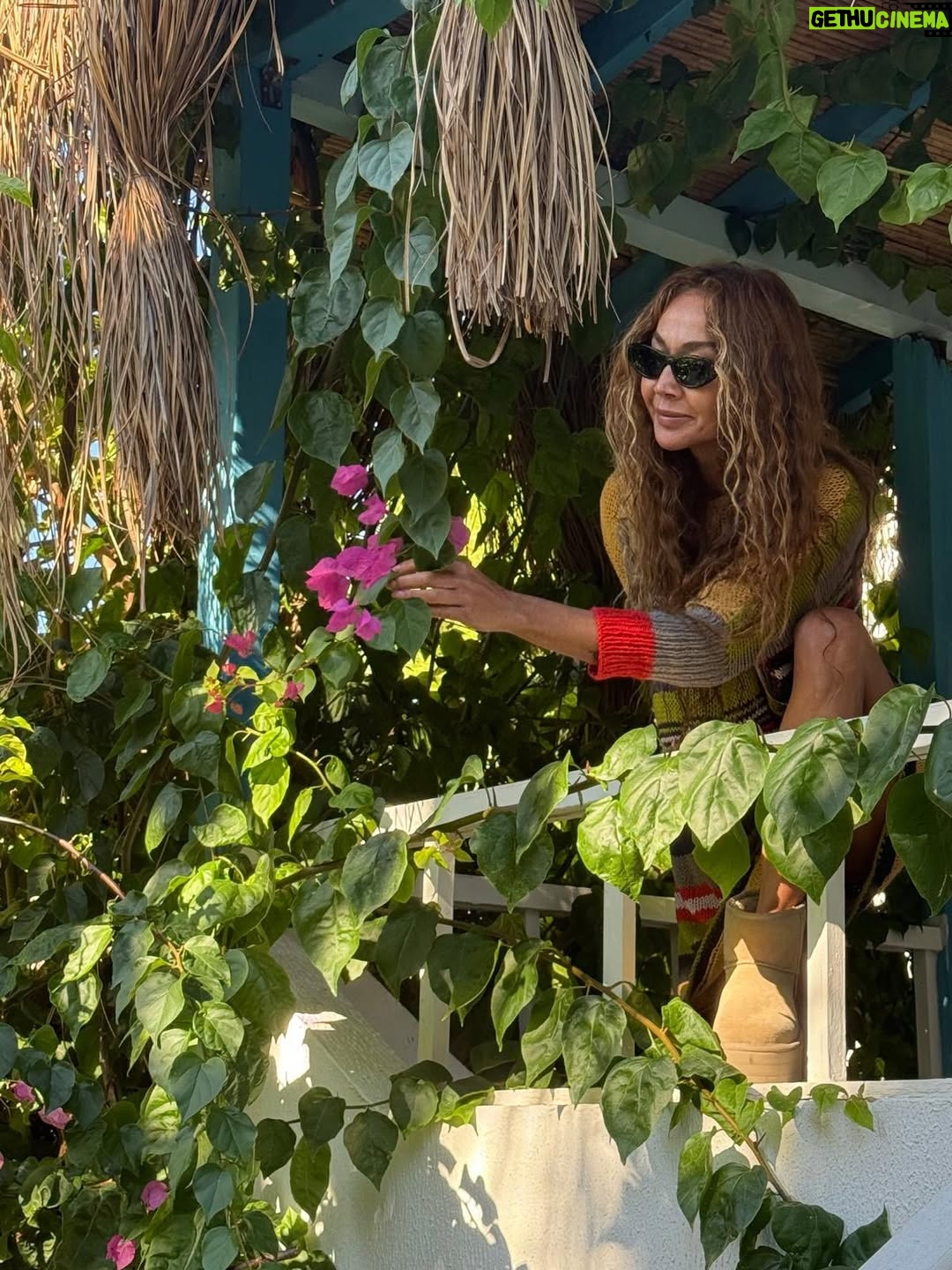 Yasemin Öztürk - 3 Likes - #mutlugünler 🧚🏾 #nofilter 📸 …sonbahar ..🍂🤍🍀🙏🌺🌹