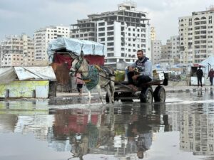 Yasmine Al Massri Instagram - Rain that soaks to the bone, with nowhere to get dry. 

The rain in Gaza is flooding tents, soaking shelters and destroying the only belongings that Palestinian people have. 

It is more than devastating. Palestinians have been surviving through a genocide, through continuous bombardment, homes and community crumbling into rubble, famine and starvation, a complete destruction of health infrastructure. And now, the rain is destroying and dampening any refuge or shelter that existed. 

Our partners are doing everything they can, but in the face of such destruction, it is harder than ever to create conditions that can keep people safe or give them the chance to heal. 

At least 347 people, including 136 children, have been killed in Israeli attacks since the ceasefire was declared, while Israel has continued to block aid and desperately needed medical supplies. 

We call on the international community to act, and to hold Israel’s Government accountable for war crimes. 

Please share. Please donate to support our partners work via the link in our bio. 

End the genocide. 

Images from our partner @aneraorg