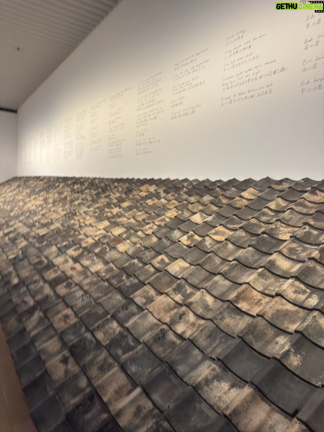 Yuri Nakamura - 19.1K Likes - #六本木クロッシング2025 
#時間は過ぎ去るわたしたちは永遠
@moriartmuseum