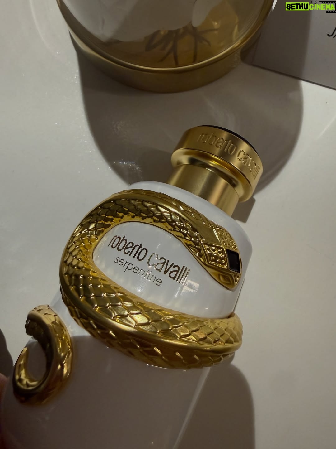 aiana jain - 2.5K Likes - Always mixing my whites with golds because why not !! What I wore for Serpentine @roberto_cavalli’s fragrance launch , matching the perfume bottle .
.
. @tarzbeauty 
.
.
.
.
.
#ROBERTOCAVALLI #ROBERTOCAVALLIFRAGRANCES #ROBERTOCAVALLISERPENTINE #aianaj #aianajsays #aianajstyles #aianajloves #love #find #count #divine 
.
.
.
.
.