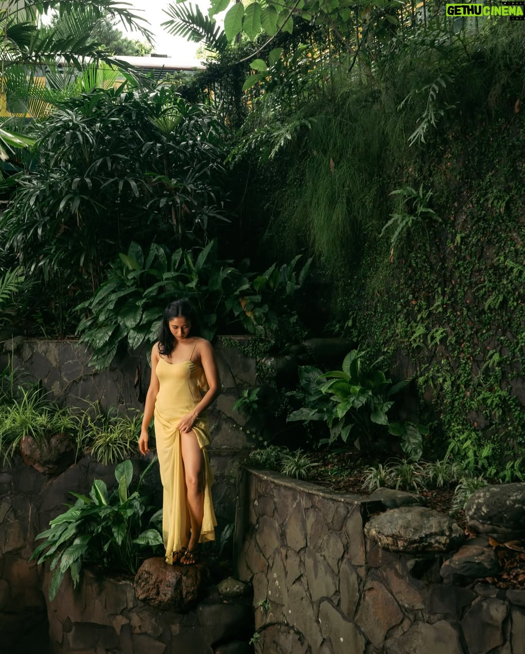 Aghniny Haque - 25.2K Likes - Seneng banget tiap pulang Semarang dapet foto bagus hehe @ciripet 💛✨