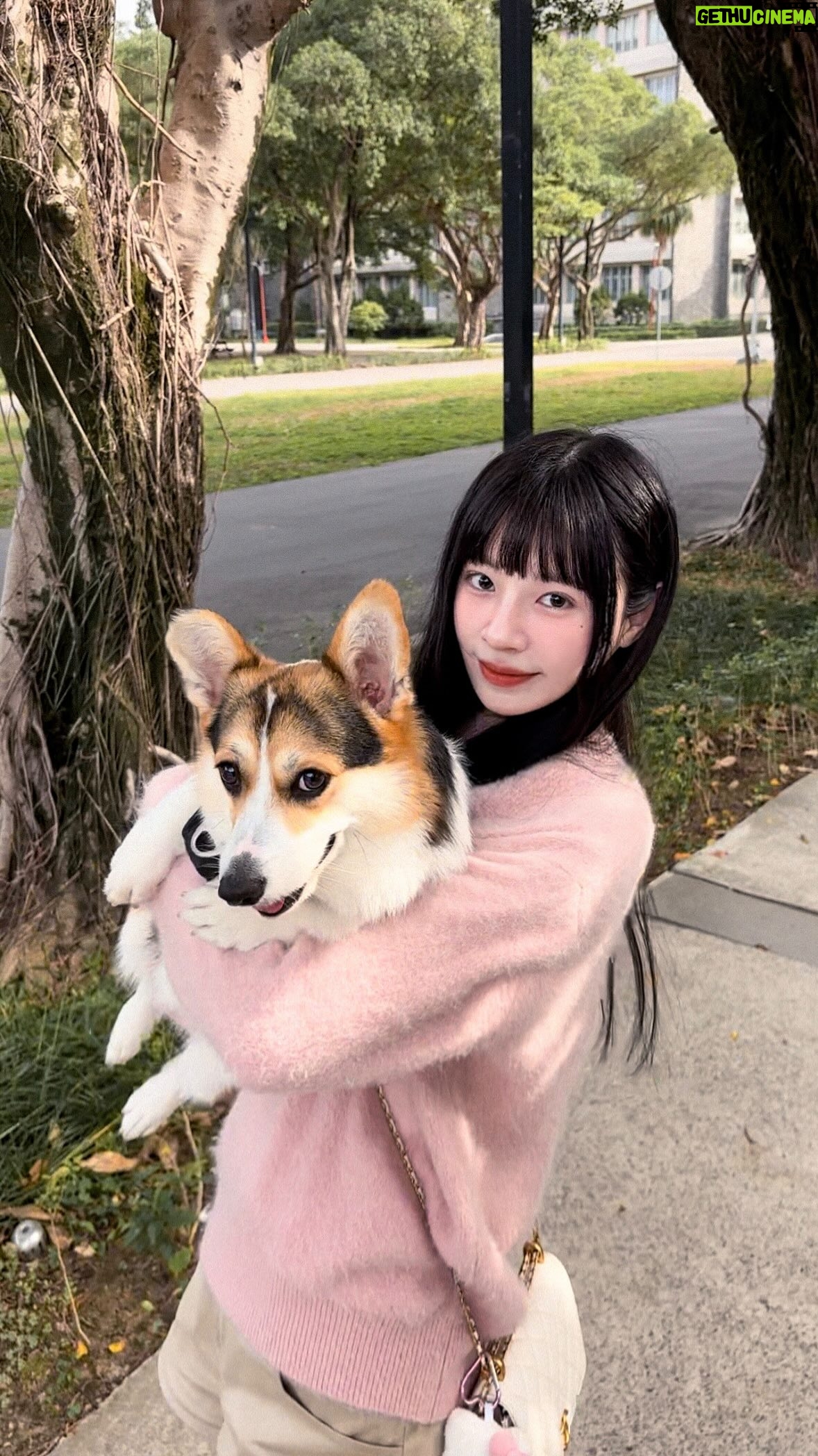 Aileen Huang - 60K Likes - 所以到底是要摸人還是摸狗？