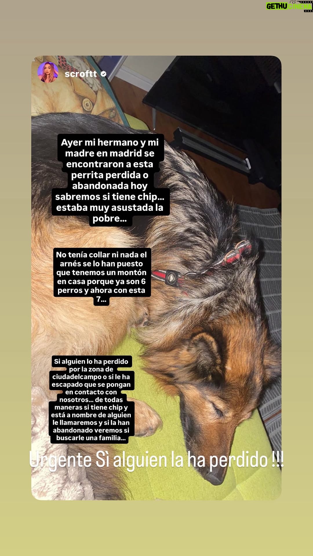 Ainhoa Arteta - 17.1K Likes - 