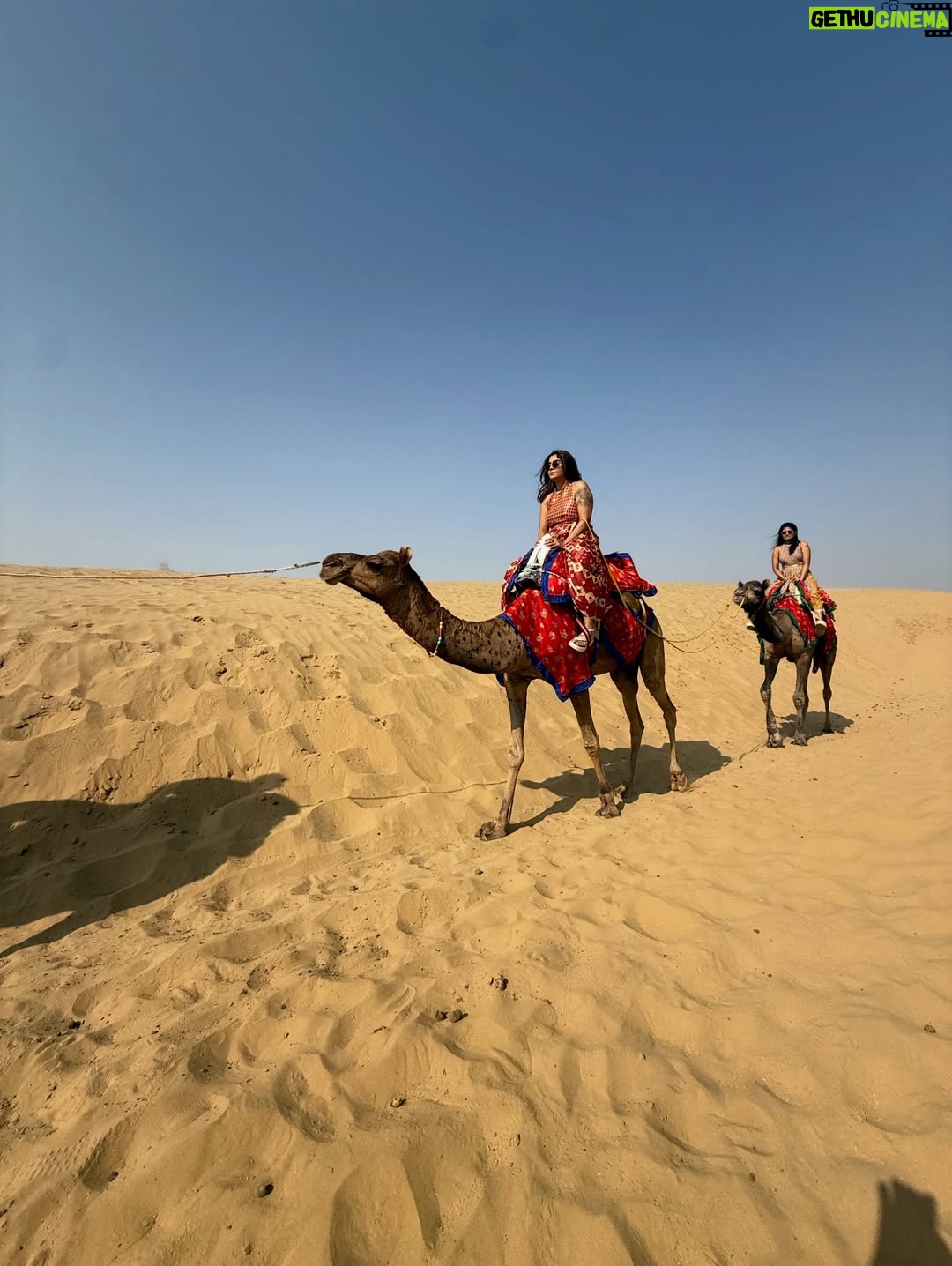 Aishwarya Shindogi - 41.3K Likes - Sand is my favourite colour 🏜️🌵🐪

Travel partner @sreenidhi_holidays_ 

#rajasthan #rajasthantourism #jaisalmer #desert #sand #camelride #desertsafari #jaisalmerfort #goldenfort #travel #wanderlust #indiatravel