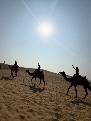 Aishwarya Shindogi Instagram - Sand is my favourite colour 🏜️🌵🐪

Travel partner @sreenidhi_holidays_ 

#rajasthan #rajasthantourism #jaisalmer #desert #sand #camelride #desertsafari #jaisalmerfort #goldenfort #travel #wanderlust #indiatravel