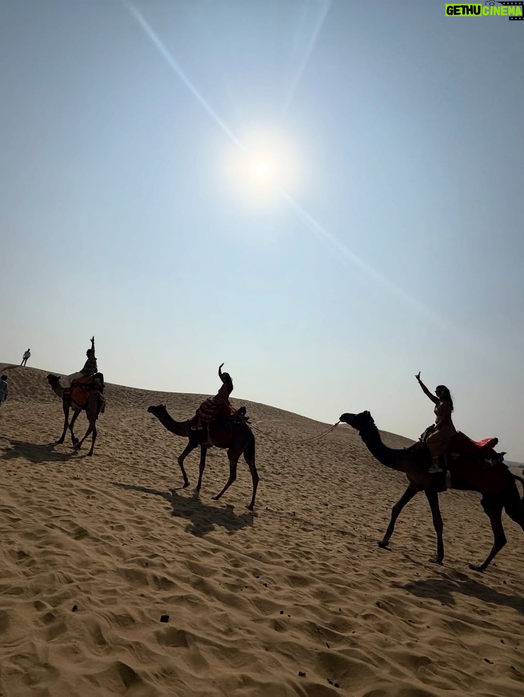 Aishwarya Shindogi - 41.3K Likes - Sand is my favourite colour 🏜️🌵🐪

Travel partner @sreenidhi_holidays_ 

#rajasthan #rajasthantourism #jaisalmer #desert #sand #camelride #desertsafari #jaisalmerfort #goldenfort #travel #wanderlust #indiatravel