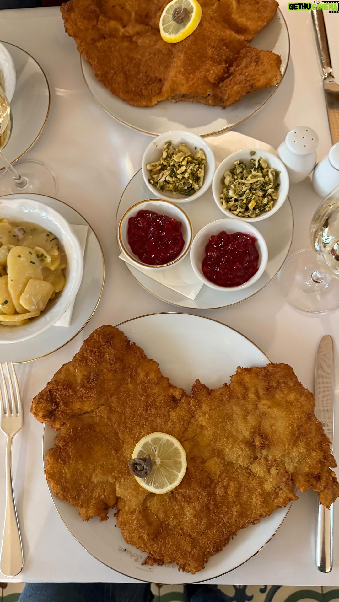 Aiste Miseviciute - 57K Likes - That was a great schnitzel, one the best I've had in Vienna.🇦🇹 @meisslundschadn What is your favourite?