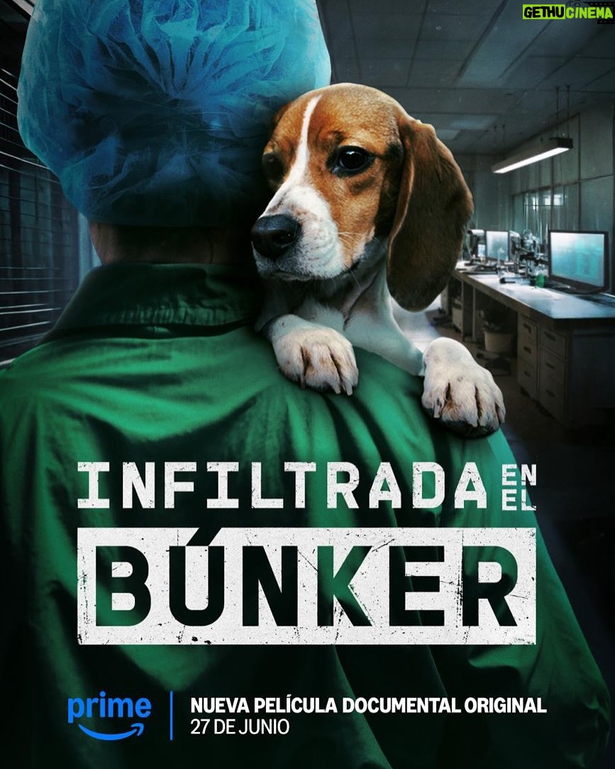 Alba Rico - 3 Likes - Hoy se estrena la nueva película documental de mi amigo @pablodelachica  en @primevideoes 
Una obra necesaria, conmovedora y valiente que da voz a los animales que han sido —y siguen siendo— víctimas de la experimentación.

Tuve el honor de poner voz a Carlota, la testigo protegida que estuvo infiltrada durante 18 meses en Vivotecnia.

Aunque el tema es delicado, el documental se puede ver. Está contado con sensibilidad, cuidado y belleza. Porque a veces, mirar de frente es el primer paso para cambiar las cosas.