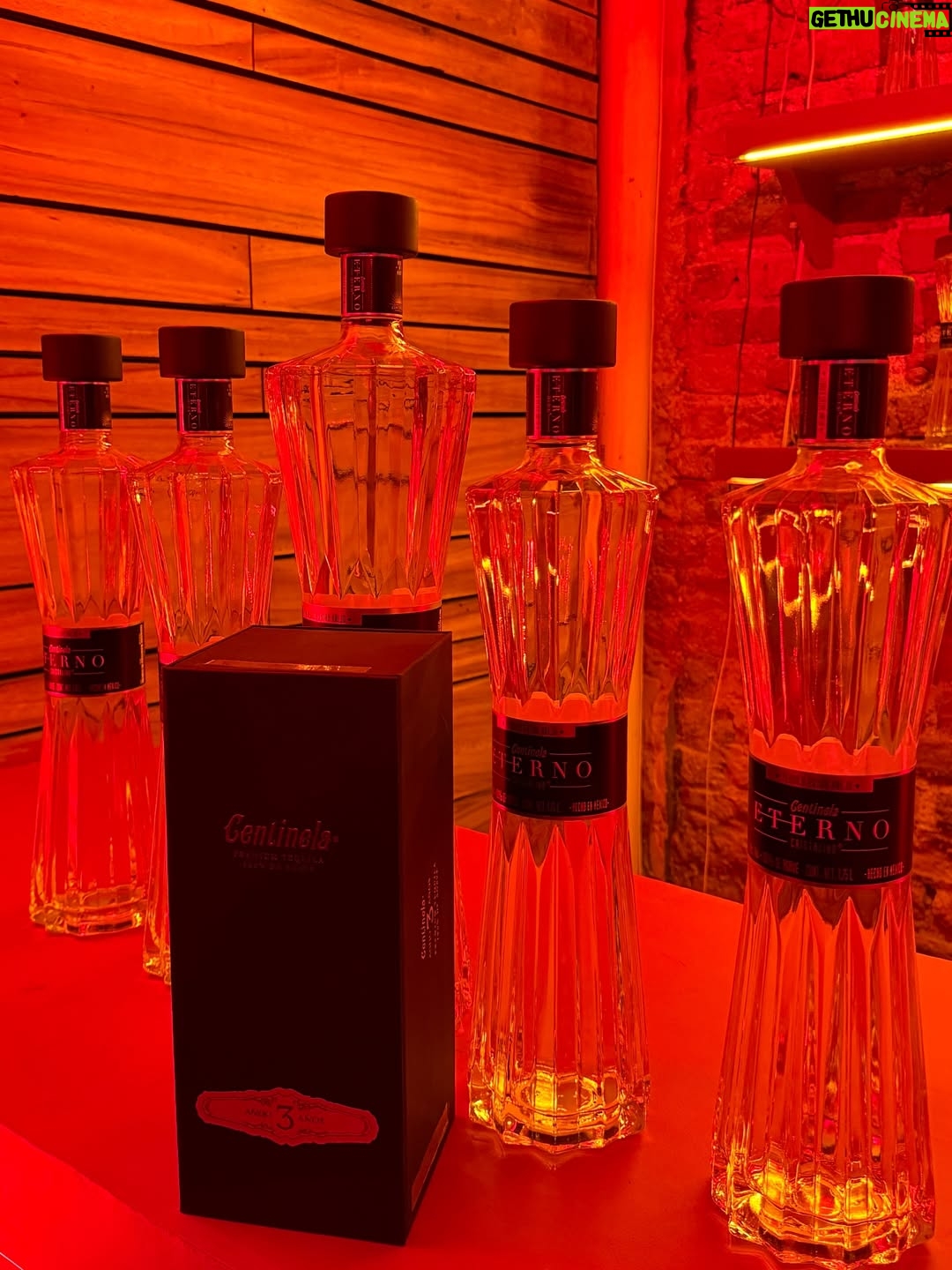Ale Müller - 20.8K Likes - Una noche de tequila y misterio… sigan a @centinela.tequila y no se pierdan de más experiencias como esta❤️