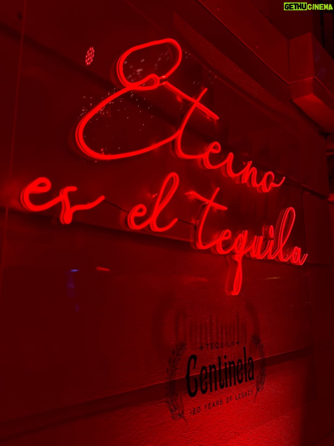 Ale Müller - 20.8K Likes - Una noche de tequila y misterio… sigan a @centinela.tequila y no se pierdan de más experiencias como esta❤️