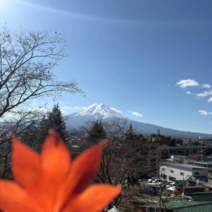 Alejandra Ávila Instagram - Viajar siempre nos da respuestas, no siempre las que nos gustan y no siempre a las preguntas que deseamos.
Kintsugi significa “reparar con oro” y es el arte japonés que utiliza una resina mezclada con polvo de oro para reparar cerámica rota, de esa forma la pieza aunque fracturada tiene ahora más valor que antes. Los viajes para mi son el “Kintsugi” de la vida y pueden repararlo casi todo.