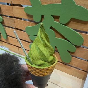 Alejandra Ávila Instagram - Viajar siempre nos da respuestas, no siempre las que nos gustan y no siempre a las preguntas que deseamos.
Kintsugi significa “reparar con oro” y es el arte japonés que utiliza una resina mezclada con polvo de oro para reparar cerámica rota, de esa forma la pieza aunque fracturada tiene ahora más valor que antes. Los viajes para mi son el “Kintsugi” de la vida y pueden repararlo casi todo.