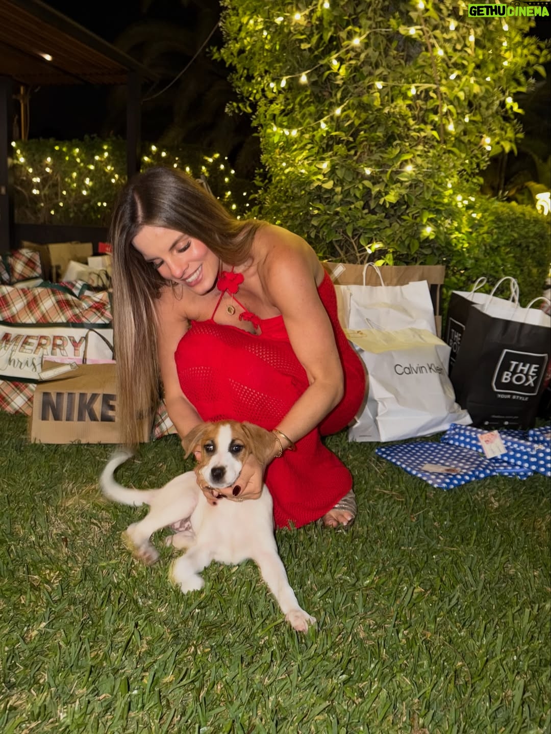 Alejandra Baigorria - 71.6K Likes - ✨🎄 Feliz Navidad.
Agradecida por todo lo vivido, por lo aprendido y por todo lo hermoso que aún está por venir.
Que nunca nos falten sueños, fe y ganas de ir por más. 🤍✨