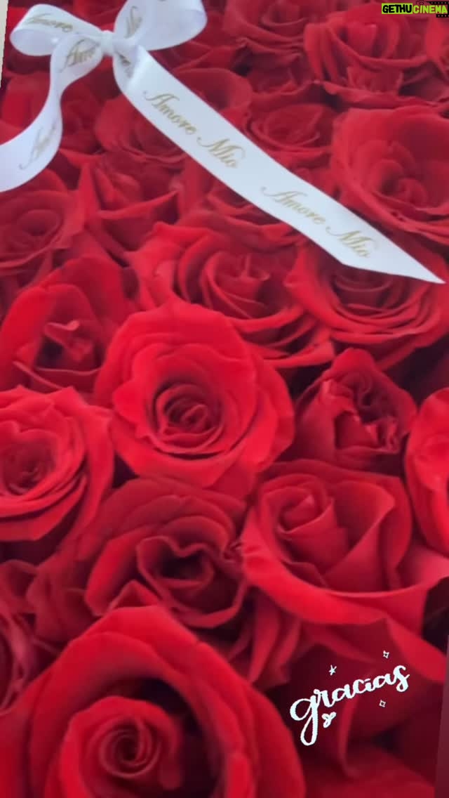 Alejandra Pinzón - 81 Likes - 🥰❤️🙏🏻
