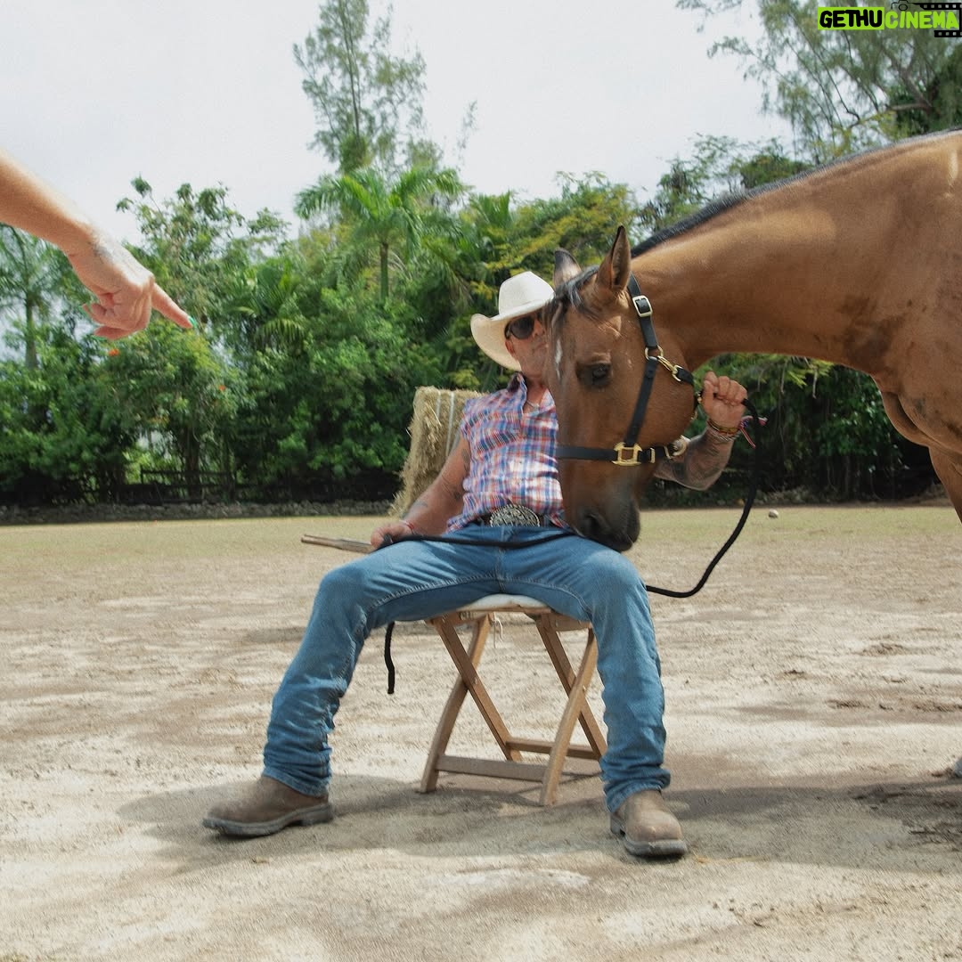 Alexandra Cosentino - 0.9K Likes - Un premier sneak peek de ma DA (direction artistique) pour créer l’identité visuelle du ranch … Ce que j’adore plus que tout, c’est livrer en photos ce que je ressens d’un lieu quand j’y suis… alors quoi de mieux que deux Aquarius brain pour imager un feeling … 👏🏽 et c’est exactement ce qu’on a fait Angie ( derrière le Kodak ) & moi (partout ailleurs en même temps) pour la V2 du site web du « Ranch Resort Sport & Spa, Bahamas »!
 
Attendez de voir les photos des chevaux … je vais devoir faire plusieurs post pour tout share ça ! 😜🤌🏽🙆🏽‍♀️🐴🐴🐴

IT’S A VIBE ! And we’ve been very artistic in the process(right girl, this one’s for you AHAHAH!) 

Voici le mood que tu vis quand tu atterris sur la land… J’espère que tu captes l’essence sur ses images … le caring de notre team pour nos chevaux, la douceur des lieux, mais la force tout autant refléter à travers le soft… 
C’est calme, mais l’énergie habite toujours l’espace … Il fait chaud, mais le vent, les arbres, les oiseaux & tout le reste t’enveloppe dans le confort … c’est dure à exprimer… quand tu y seras, tu verras ce que je veux dire …. mais j’espère que vous capter l’essence que j’essaie de traduire via ses images ! 

On dit souvent qu’une image vaut mille mots… 
Toi, qu’est-ce que tu feel de ça? 

P.S.: Ça faisait officiellement 2 ans qu’on avait pas de nouvelles photos « d’amour » ensemble … there you go @sirkmayer 😂!

#ranchresortbahamas #ranchlifeisgoodlife #expats #bahamaslife #wellnessequinecenter #nassaubahamas #angiemyersphotography