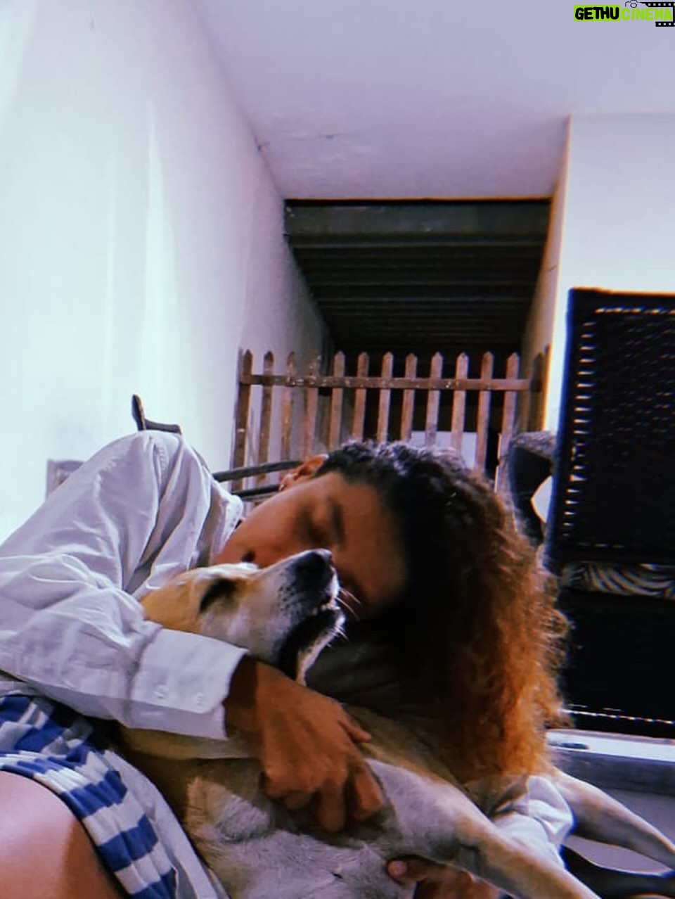 Alice Carvalho - 43.5K Likes - de ferias eu e michael agora só depois