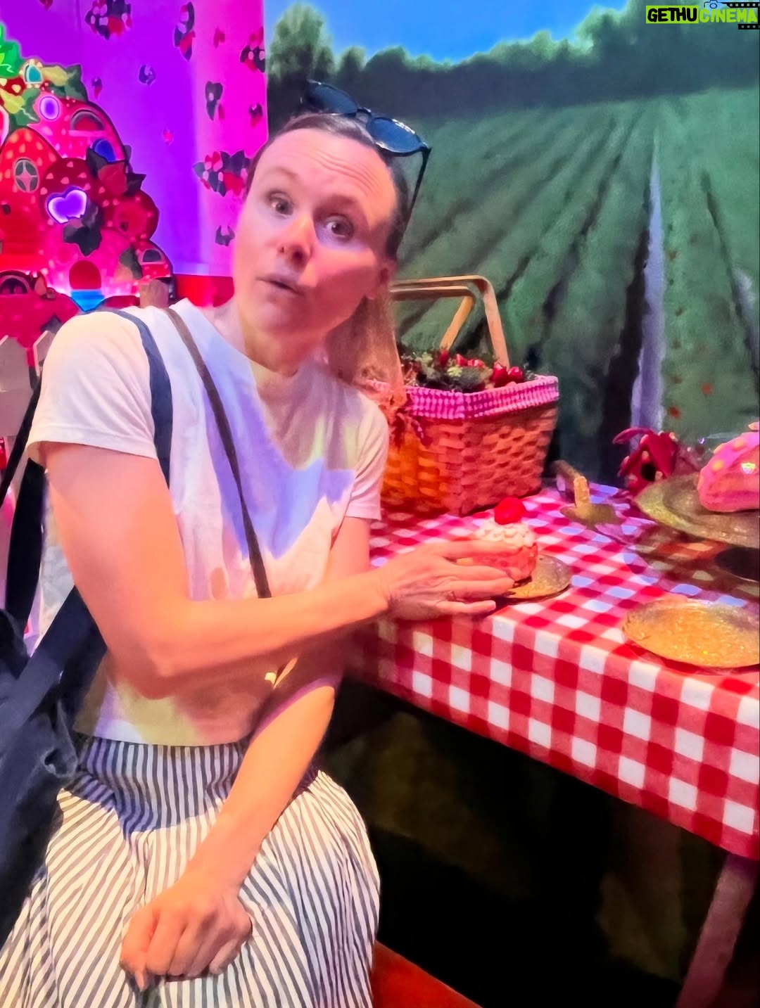Alison Pill - 2.3K Likes - Quite a summer.  @katherinepill @floridarama.art @woodstocksanctuary @carolinamama__ @launoah57 @jw.ellington (who also took my photo because he’s a very good partner person) @mchernus did a theatre @mingey was away so cuddled Romeo