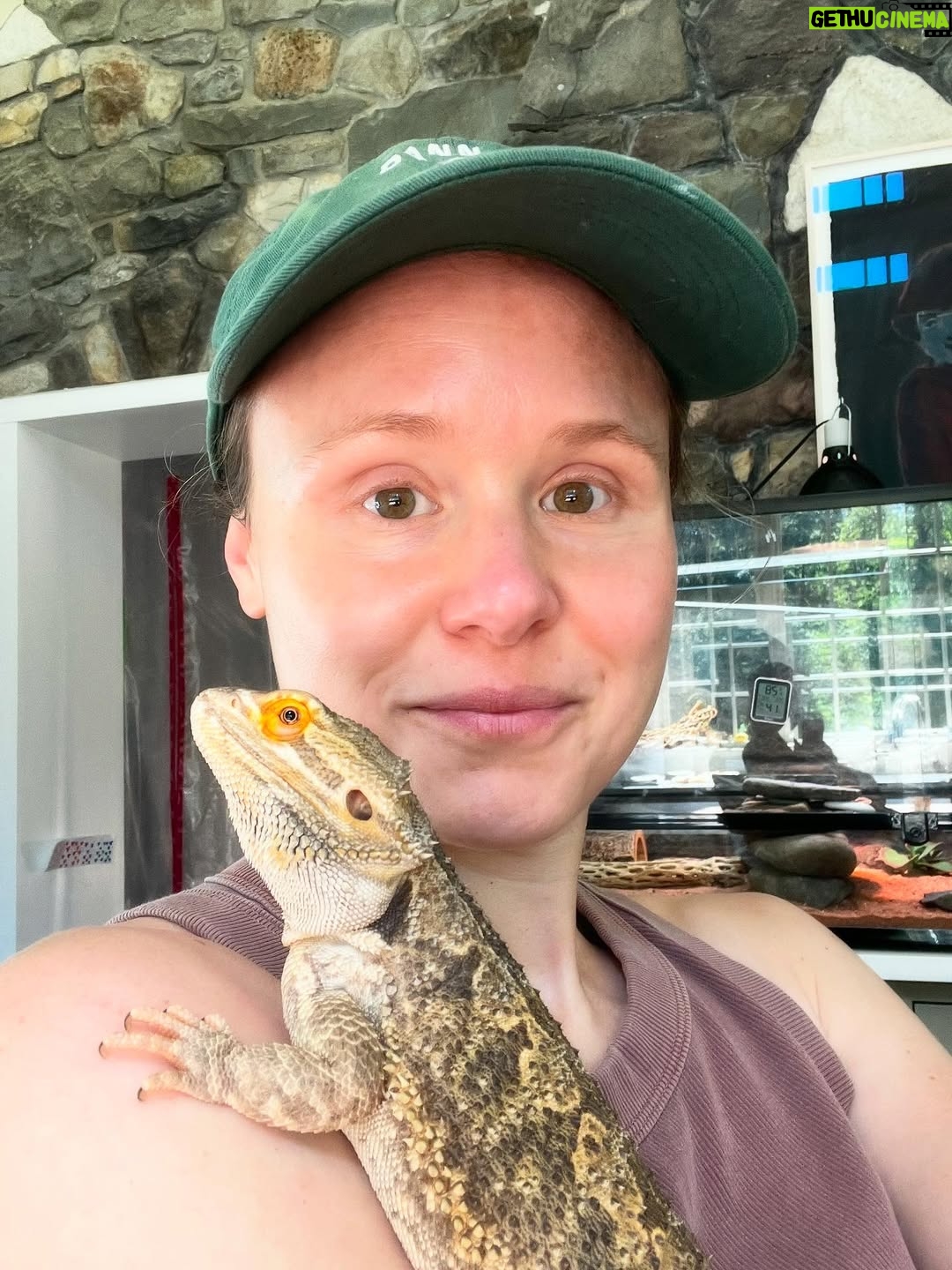 Alison Pill - 2.3K Likes - Quite a summer.  @katherinepill @floridarama.art @woodstocksanctuary @carolinamama__ @launoah57 @jw.ellington (who also took my photo because he’s a very good partner person) @mchernus did a theatre @mingey was away so cuddled Romeo