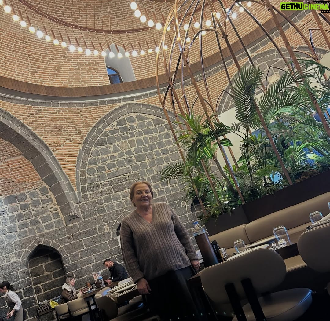 Aliye Uzunatağan - 9K Likes - Diyarbakır’ın tarihi dokusu ve doğası.