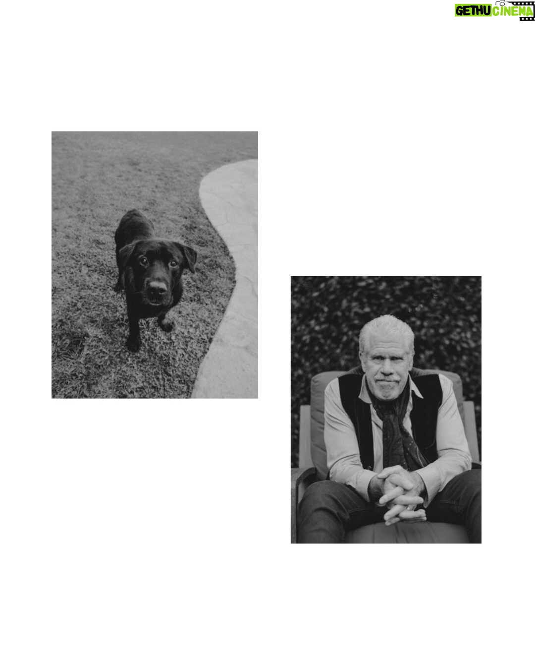 Allison Dunbar - 813 Likes - Grandpa, Harry, Ice Cream Cake, Marvin