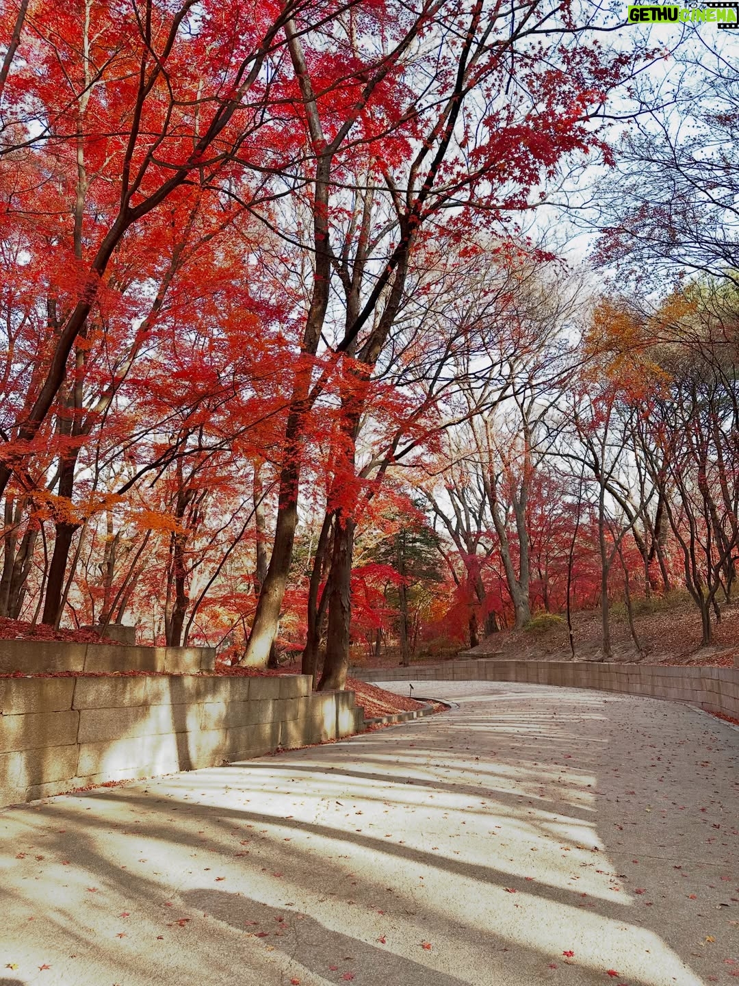 Altaír Jarabo - 93.9K Likes - Seúl de mi soul. 🇰🇷
