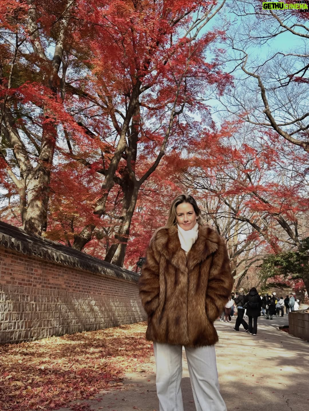 Altaír Jarabo - 93.9K Likes - Seúl de mi soul. 🇰🇷