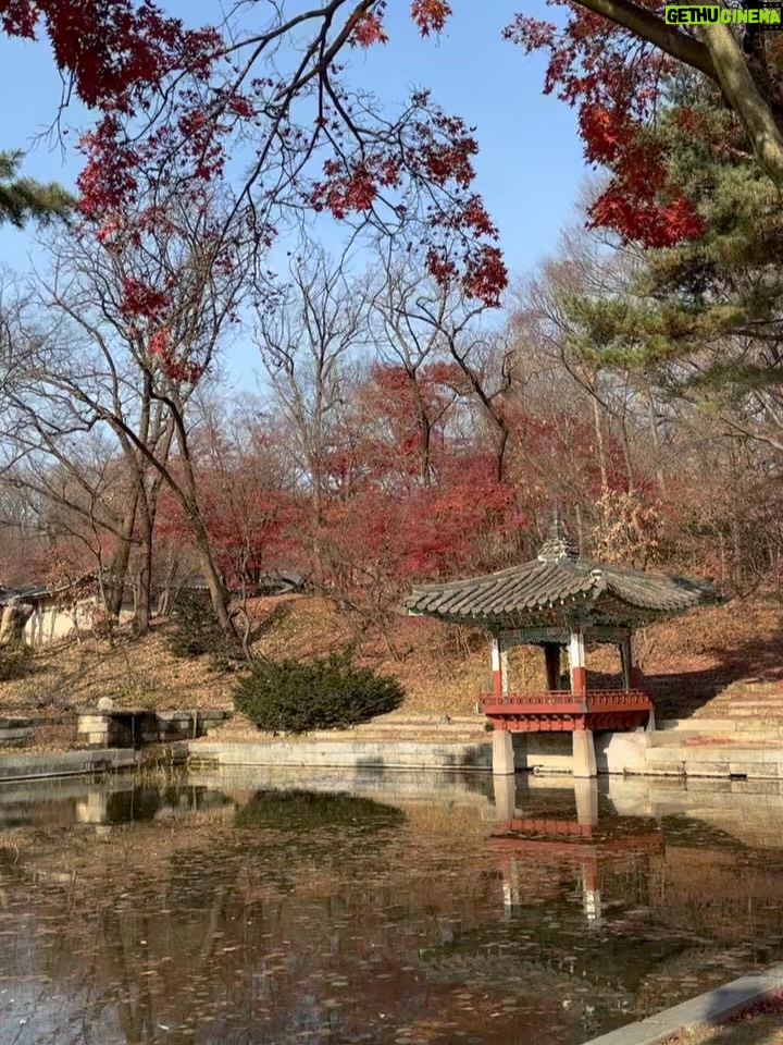 Altaír Jarabo - 93.9K Likes - Seúl de mi soul. 🇰🇷