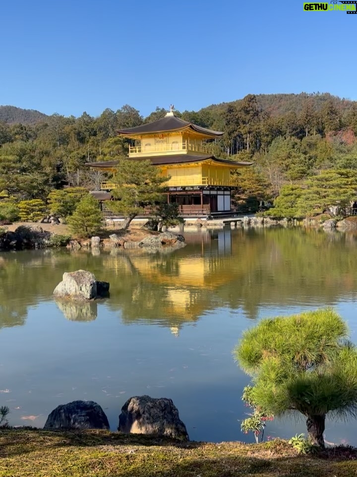 Altaír Jarabo - 48.7K Likes - Kyoto Vol. I 
Lo que no sabían es que este viaje es mi verdadera 🌙 de 🍯con @fglecercle . Japón estaba cerrado durante el 🦠 y después decidimos hacer otros viajes pero esta es la aventura original.