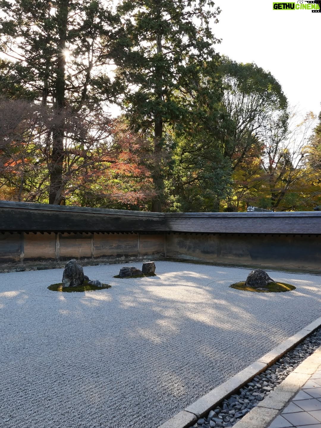 Altaír Jarabo - 48.7K Likes - Kyoto Vol. I 
Lo que no sabían es que este viaje es mi verdadera 🌙 de 🍯con @fglecercle . Japón estaba cerrado durante el 🦠 y después decidimos hacer otros viajes pero esta es la aventura original.