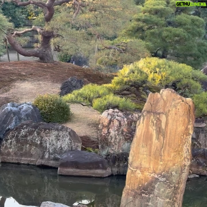 Altaír Jarabo - 48.7K Likes - Kyoto Vol. I 
Lo que no sabían es que este viaje es mi verdadera 🌙 de 🍯con @fglecercle . Japón estaba cerrado durante el 🦠 y después decidimos hacer otros viajes pero esta es la aventura original.