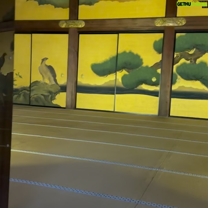 Altaír Jarabo - 48.7K Likes - Kyoto Vol. I 
Lo que no sabían es que este viaje es mi verdadera 🌙 de 🍯con @fglecercle . Japón estaba cerrado durante el 🦠 y después decidimos hacer otros viajes pero esta es la aventura original.