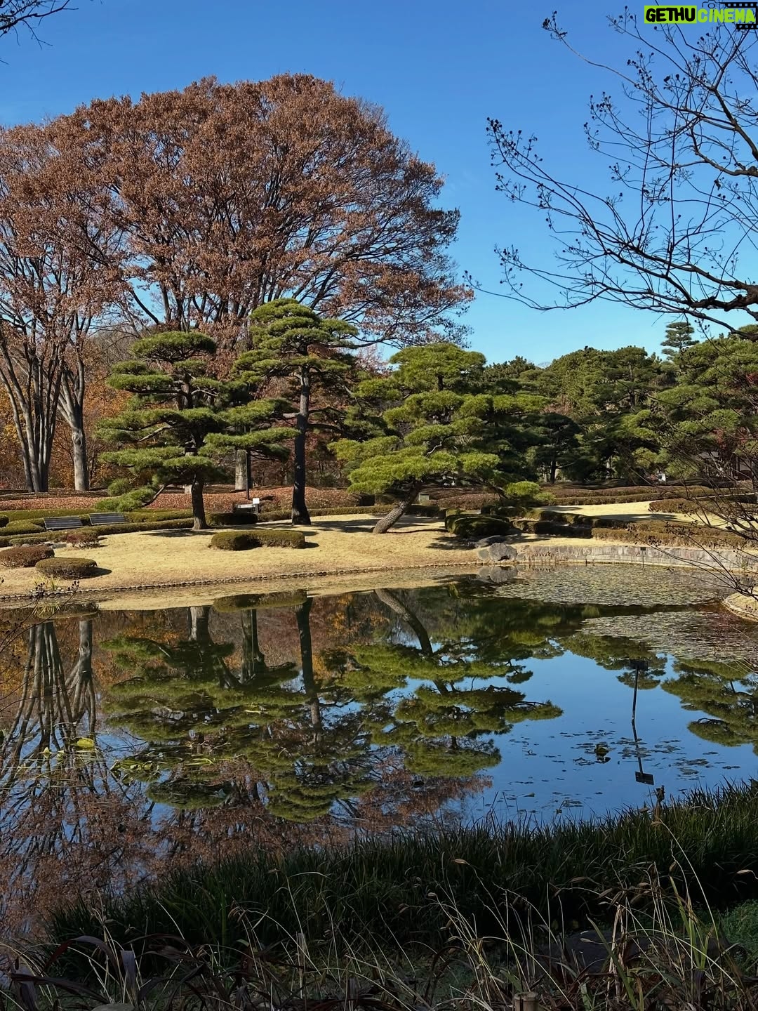 Altaír Jarabo - 23.6K Likes - Último día en Tokyo! 🇯🇵 🗻. Después de ver palacios, templos y la ciudad ultra moderna , no lo puedo evitar. Mis partes favoritas siempre han sido y serán los jardines ! Visite los que fueron del emperador , los que fueron del shogun y realmente me hicieron feliz . 
Ver el monte Fuji desde el Shinkanshen a más de 200km/hr fue lindo también.
