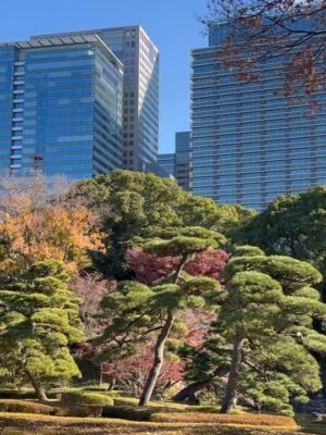 Altaír Jarabo Instagram - Último día en Tokyo! 🇯🇵 🗻. Después de ver palacios, templos y la ciudad ultra moderna , no lo puedo evitar. Mis partes favoritas siempre han sido y serán los jardines ! Visite los que fueron del emperador , los que fueron del shogun y realmente me hicieron feliz . 
Ver el monte Fuji desde el Shinkanshen a más de 200km/hr fue lindo también.